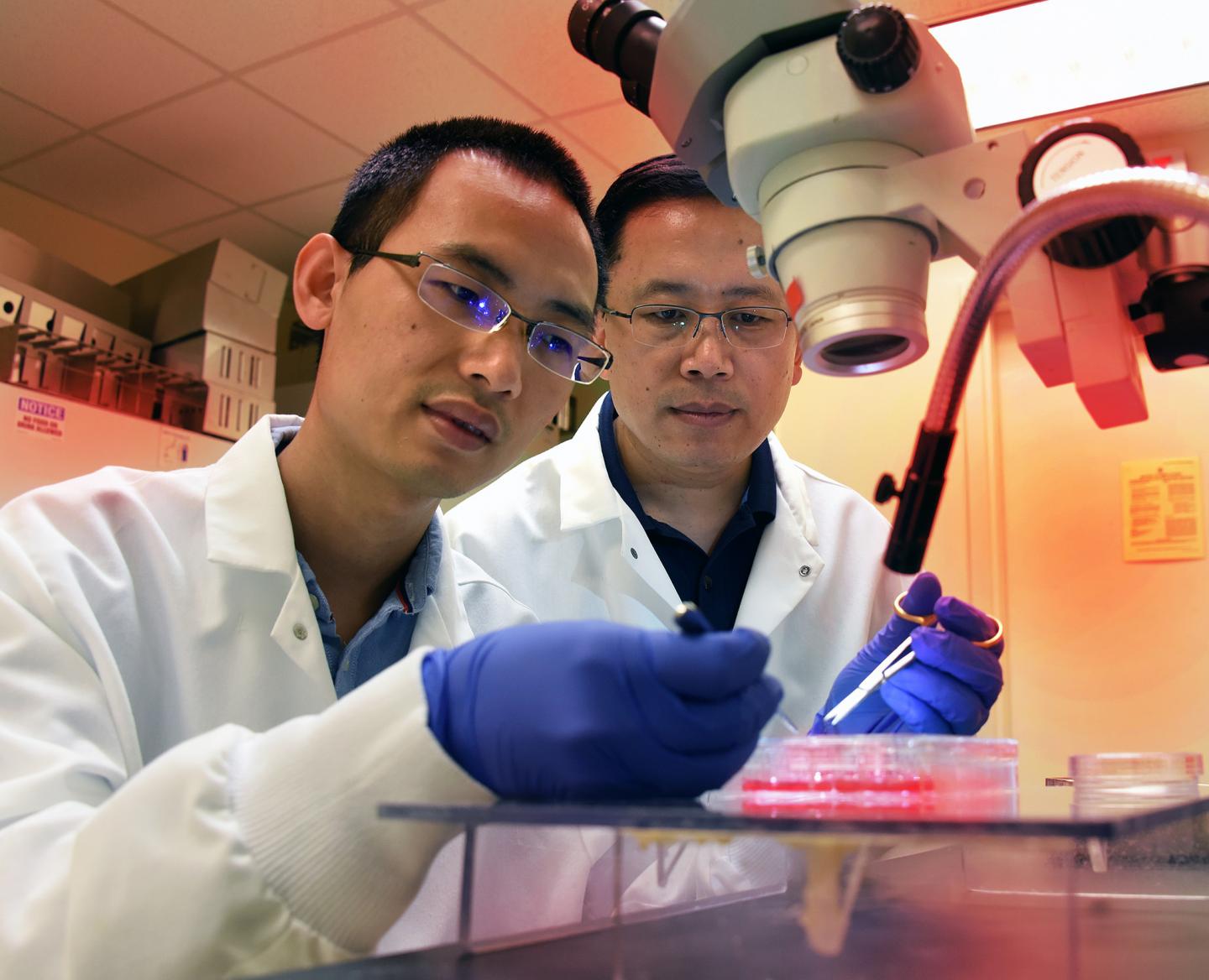 Likely New Treatment Target Identified for Diabetic Retinopathy
