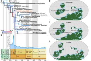 Phylogenetic and paleogeographic positions of Paleolophus yunnanensis