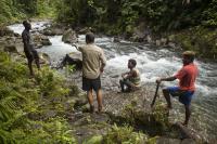 Collaborative Fieldwork