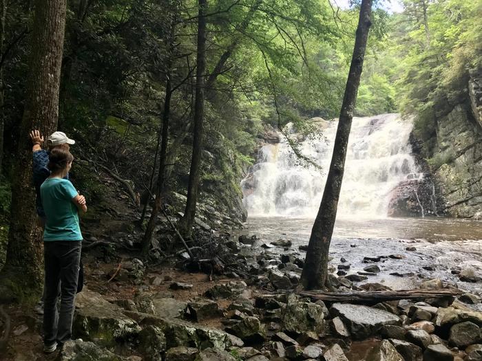 From left, Robert and his wife Cathy Brown looking over a waterfall in Tennessee after a hike. (Photo by Robert Brown)
