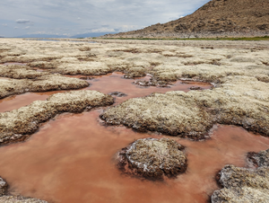 Great Salt Lake