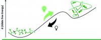 Light-fueled synthetic polymer undergoing reversible covalent crosslinking forming SCNPs in a non-equilibrium state