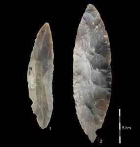 Homo sapiens already reached northwest Europe more than 45,000