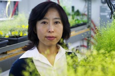 Xuemei Chen, University of California - Riverside