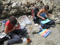 Field-Laboratory