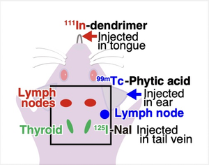 Figure 4a