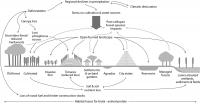 CML Diagram of Human-Environment Dynamics