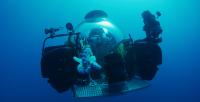 Soft robotic arm pyrosome collection