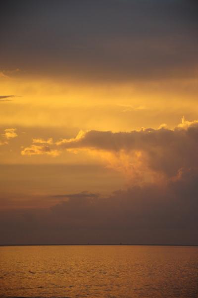 Tropical Rainfall Patterns