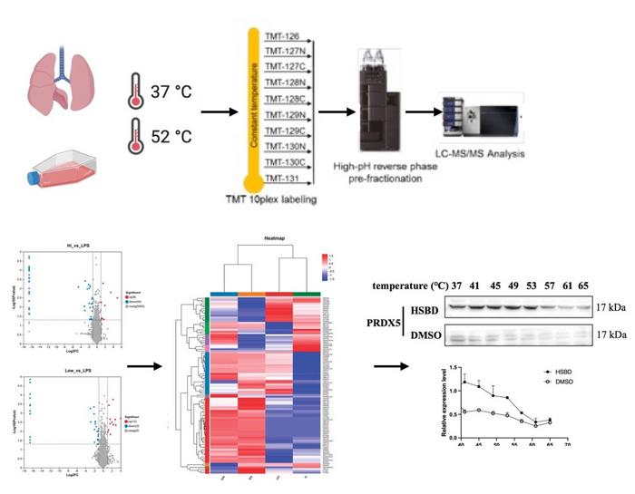 Huashi Baidu formula alleviates lipopolysaccharide-induced inflammation and acute lung injury in mice by targeting nuclear factor κB/phosphatidylinositol 3-kinase and peroxiredoxin 5