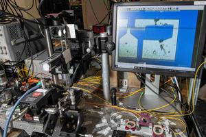 The research team’s chip was examined under a microscope