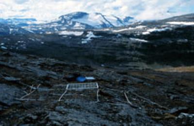Plants Disappear as a Result of Climate Changes