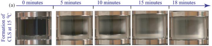 Snap-Shots of the Surfactant Sample Becoming More Turbid Over Time