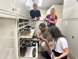 Scientists at work