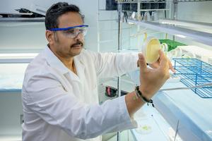 Enhancing global nutrition security