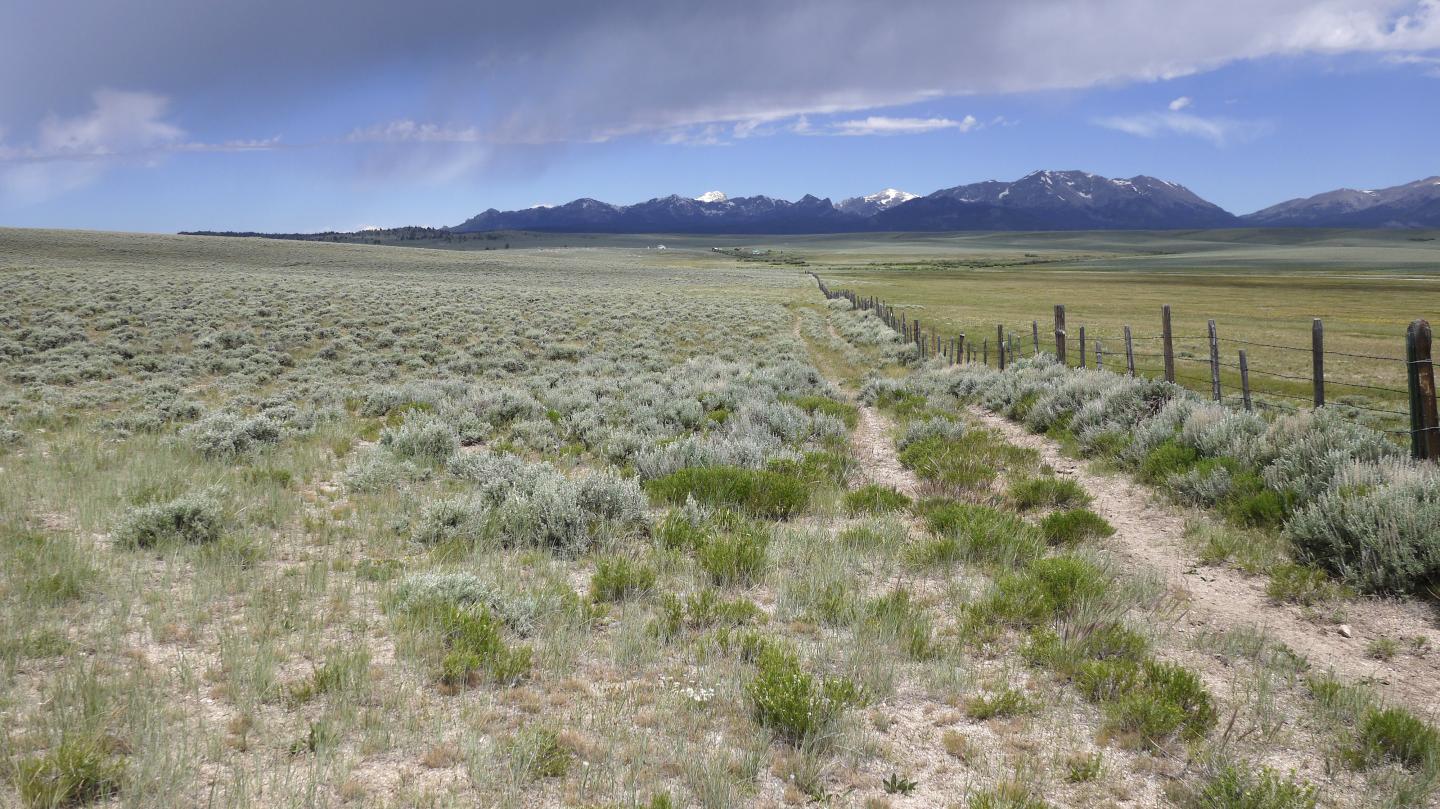 Fences hinder wildlife migration