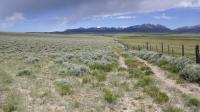 Fences hinder wildlife migration