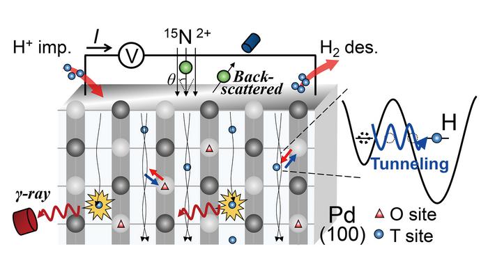 Atoms passing through walls: Quantum tunneling of hydrogen within palladium crystal