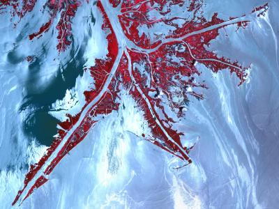 Oil at Mississippi Delta's Mouth
