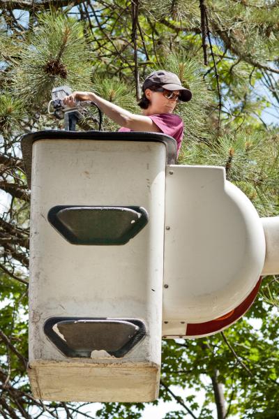 Emily Peters Measuring Photosynthesis