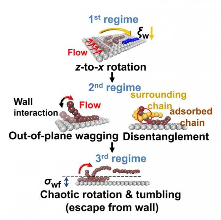 Professor Chunggi Baig's Research