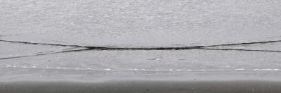 X-Shaped Wave