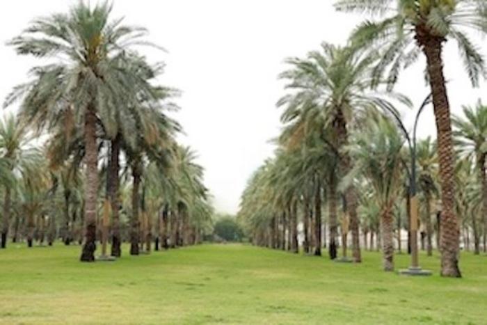 UAE Biomass waste to approach one billion kilograms annually.