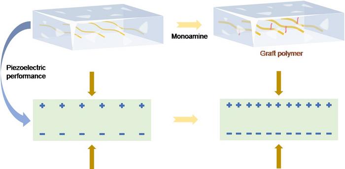 Grafting modification enhances the piezoelectric properties of polymers.