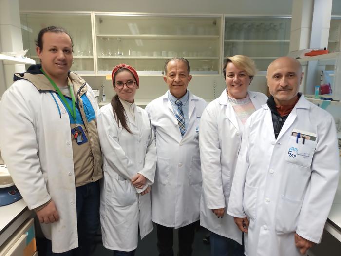 team of researchers