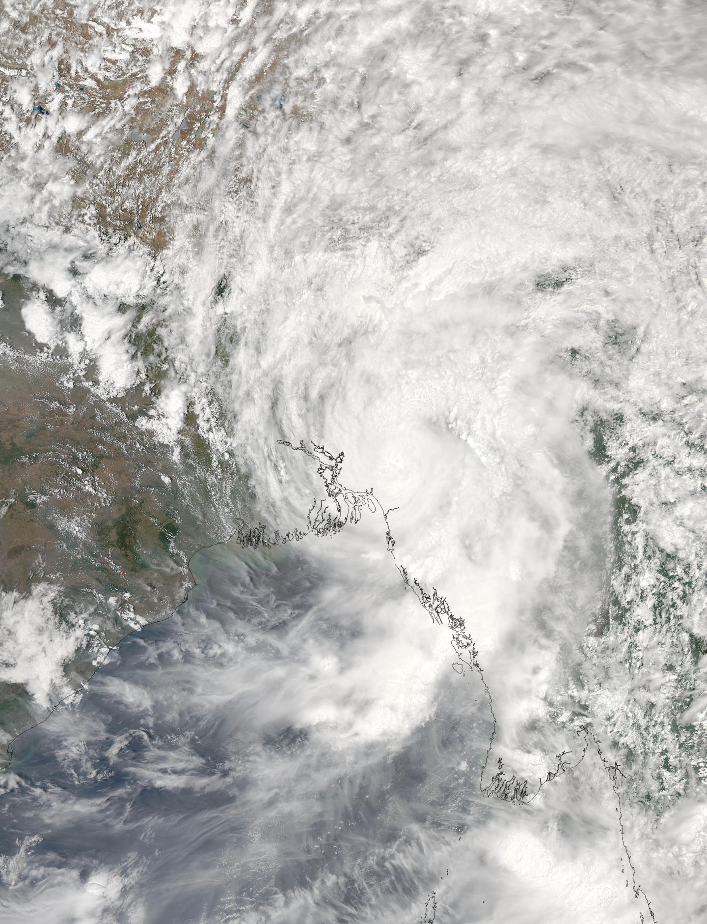 Aqua Image of Mora