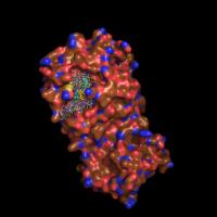 3D SARS-CoV-2 Protease