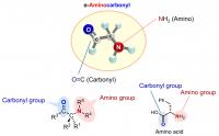 &#945;-Aminocarbonyls