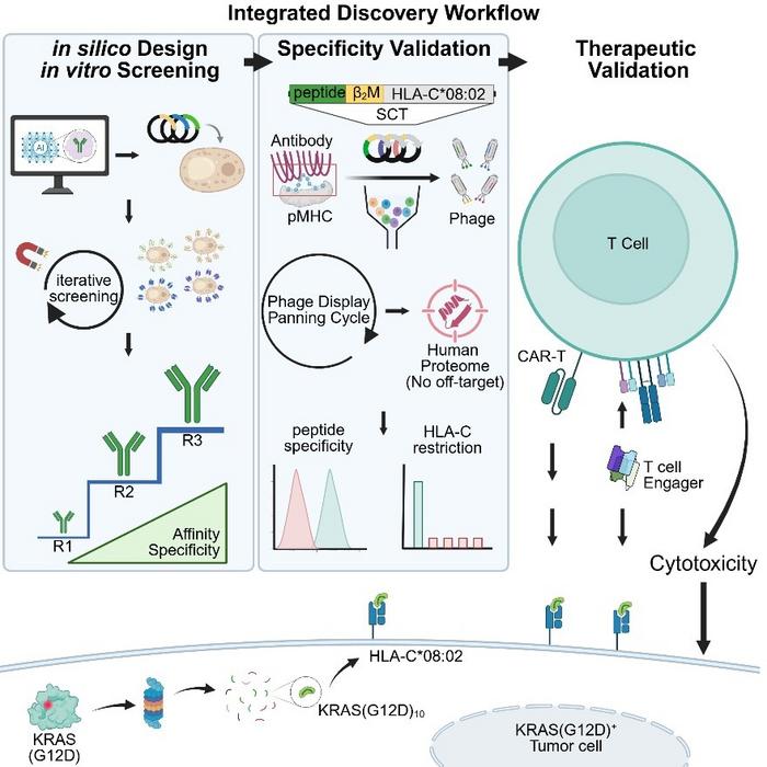 KAIST Gives Antibodies “Eyes” to Detect Cancer, Targeting Cancer Mutations Inside Cells