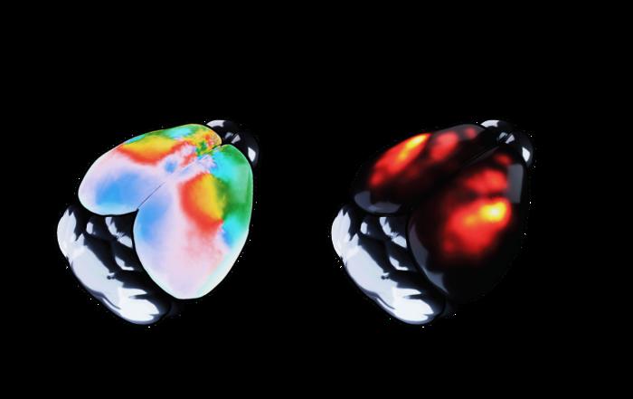 Rotating brain waves images