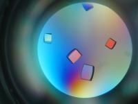 Protein Crystals