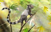 Reconstruction of <i>Xianshou songae</i>