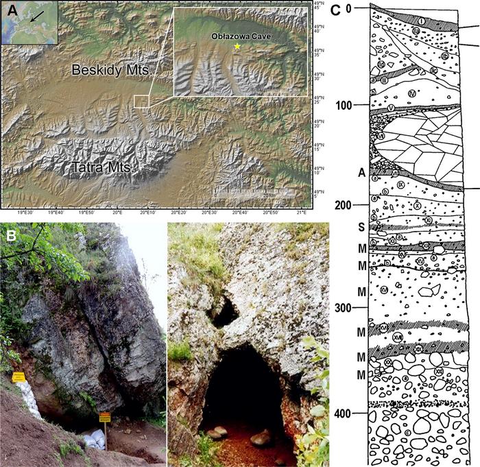 Boomerang and bones: Refining the chronology of the Early Upper Paleolithic at Obłazowa Cave, Poland