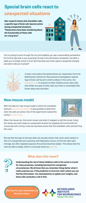 Infographic