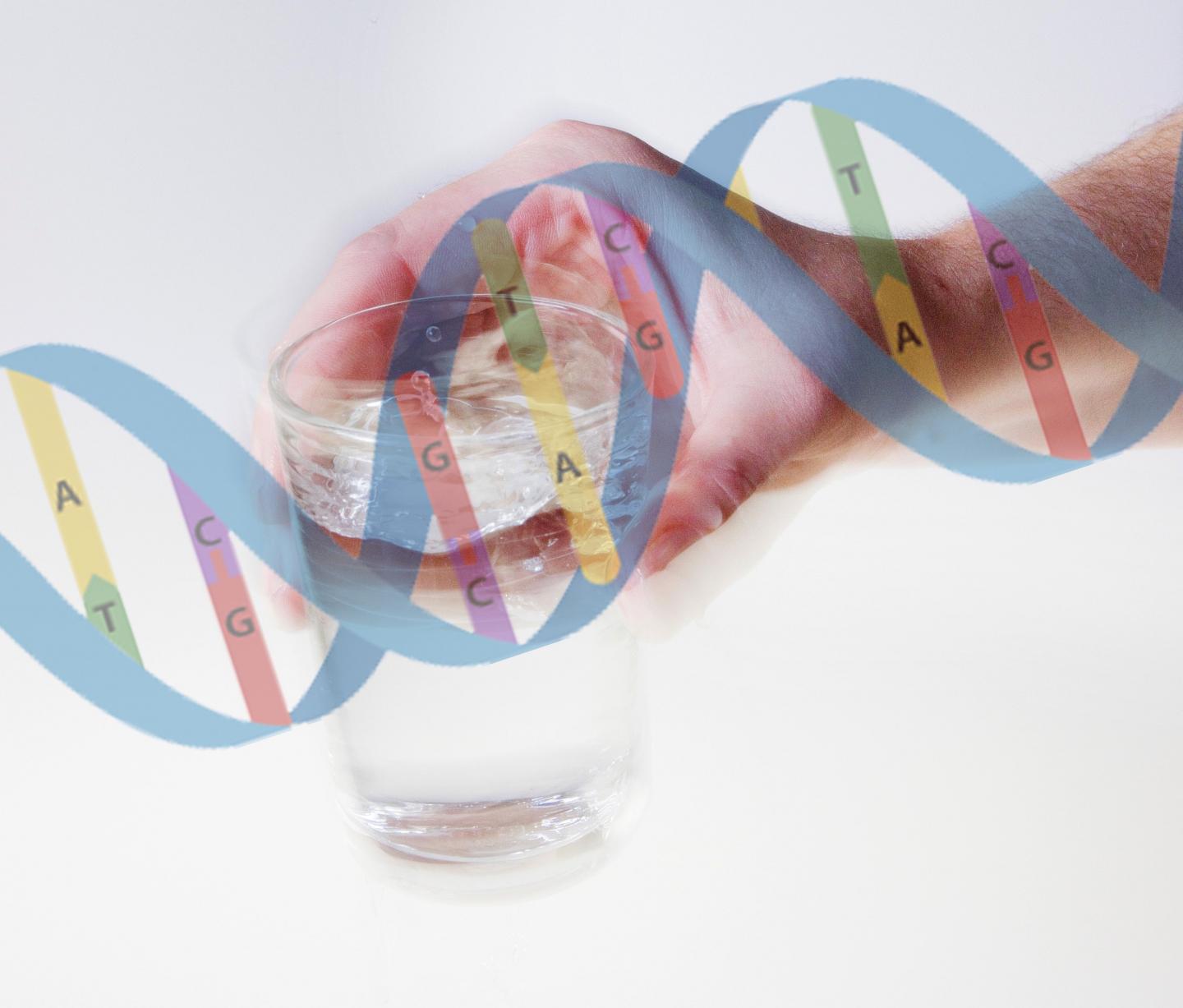 Essential Tremor Genes