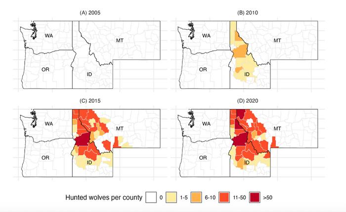 Maps of wolves hunted by county in Northern Rocky states 2005 - 2020