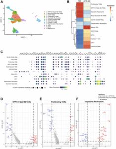 ACTM-838, a novel systemically delivered bacterial immunotherapy that enriches in solid tumors and delivers IL-15/IL-15Rα and STING payloads to engage innate and adaptive immunity in the TME and enable a durable anti-tumor immune response