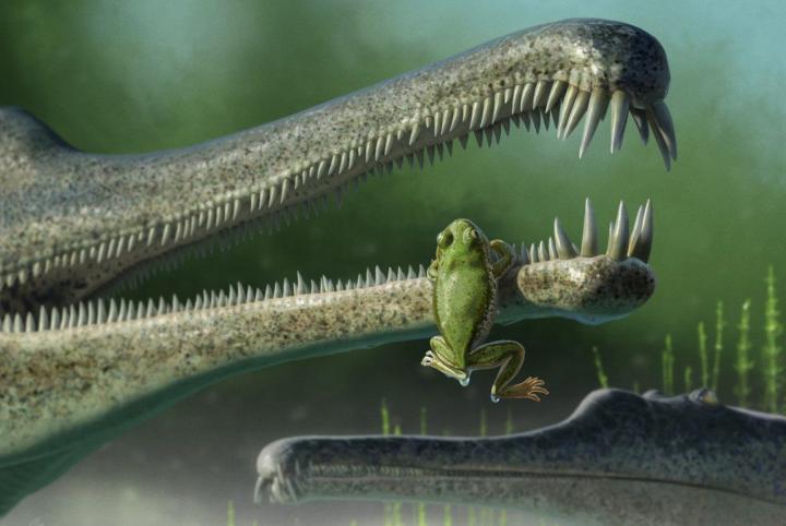 Chinle Frog Concept Render
