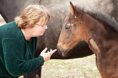 Veterinarian at Work
