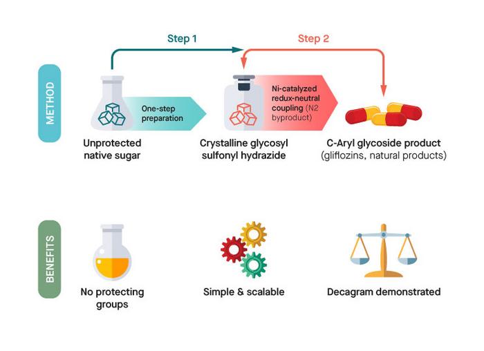Scripps Research scientists demonstrate a faster, cheaper route to making critical drugs using common table sugar