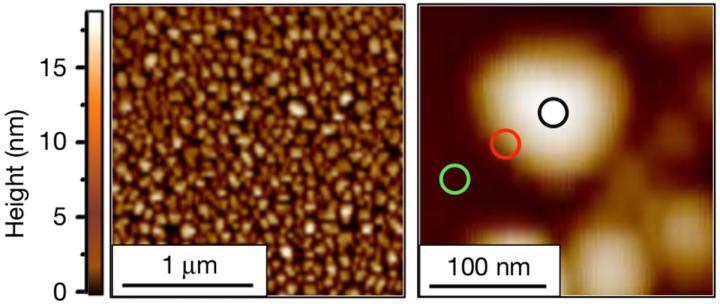Platinum Nanoparticles