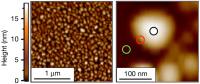 Platinum Nanoparticles