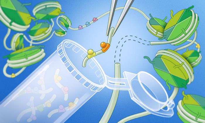 Krebs_SyntheticBiology