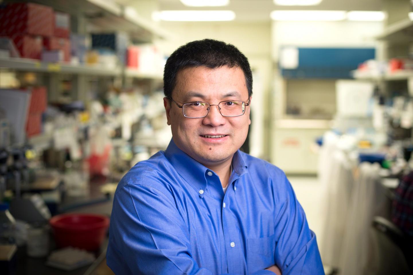 Hongbo Chi, Ph.D.,  St. Jude Children's Research Hospital 