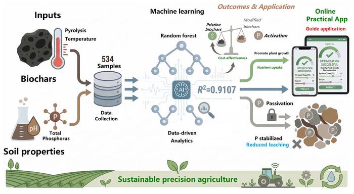 Achieving precise regulation of soil phosphorus availability by guiding the application of pristine biochars with machine learning techniques