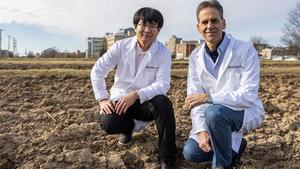 Mizzou researchers